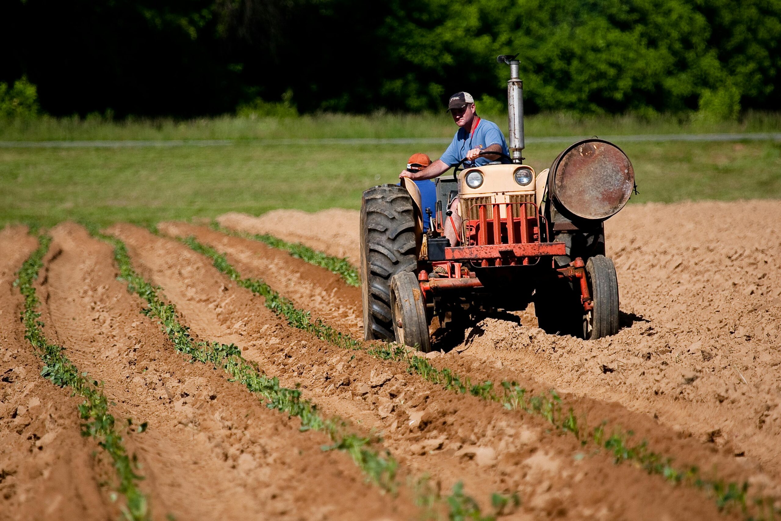 Hur Kan Veterantraktorer, Kultivator och Elstängsel Förbättra Effektiviteten i Ditt Jordbruk?